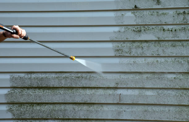 Best Roof Power Washing Services  in Temperance, MI