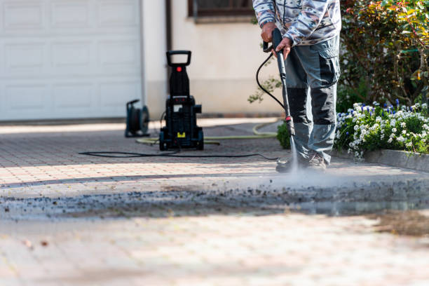 Best Local Pressure Washing Services  in Temperance, MI