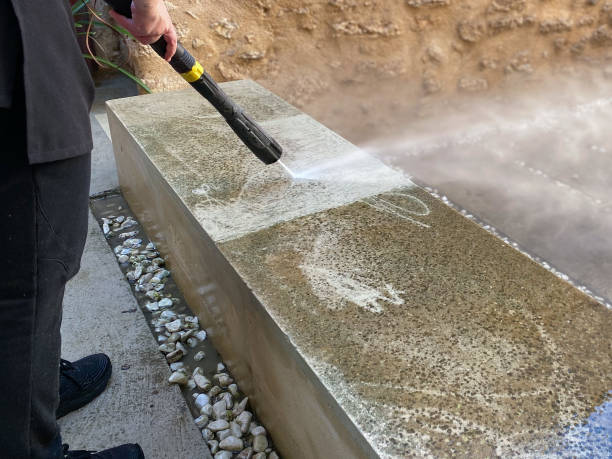 Best Commercial Building Pressure Washing  in Temperance, MI